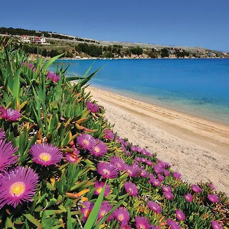1 Bedroom Lovely In Pag * פג